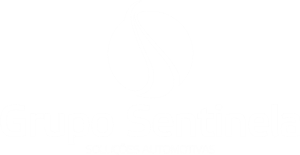 Grupo Sentinela_Logotipo_1_bc300